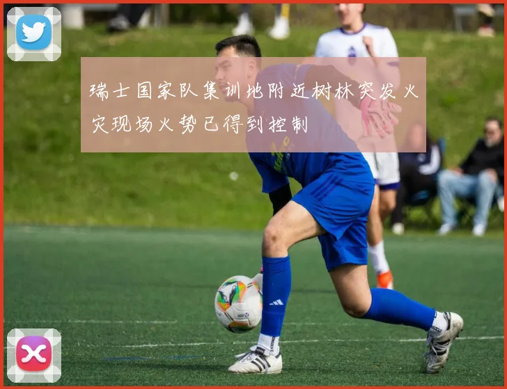 瑞士国家队集训地附近树林突发火灾现场火势已得到控制
