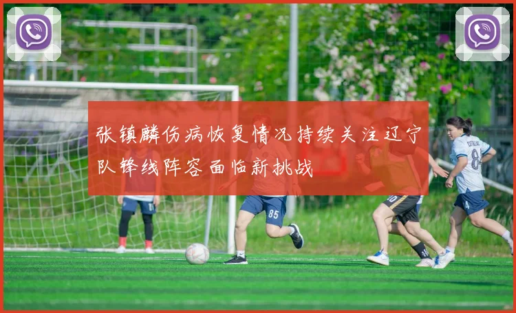 张镇麟伤病恢复情况持续关注辽宁队锋线阵容面临新挑战